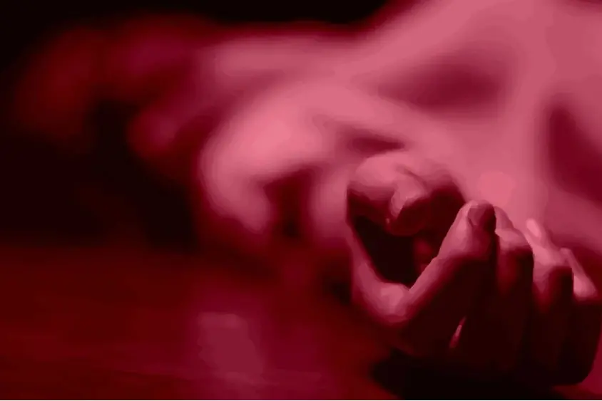 Stray dog attack claims life of elderly woman in Alappuzha