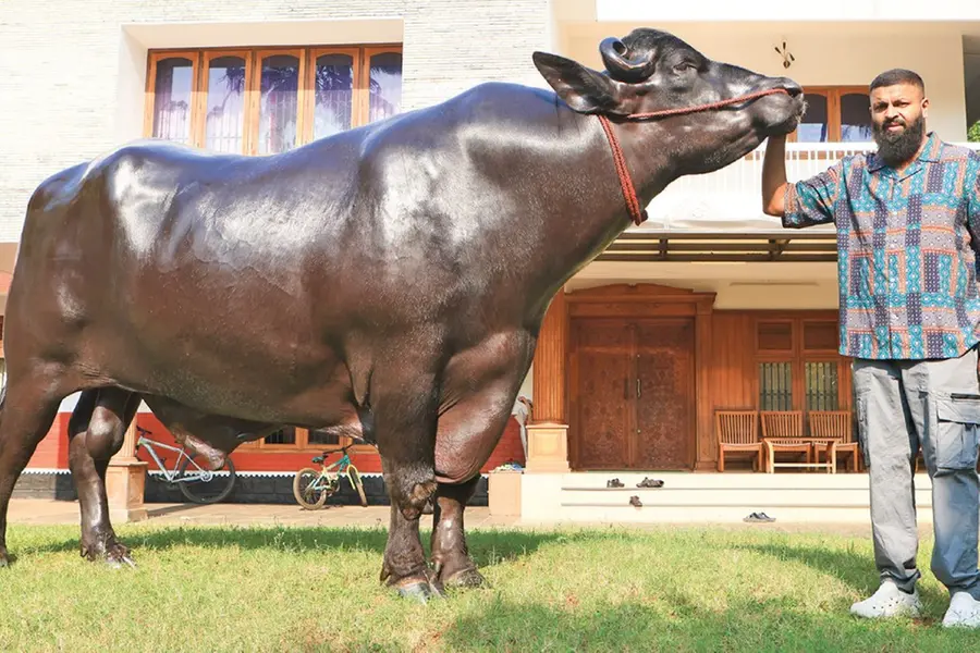 2 caretakers, oil massage baths, 4 lavish meals a day; Meet Khuman who lives like a King in Thrissur
