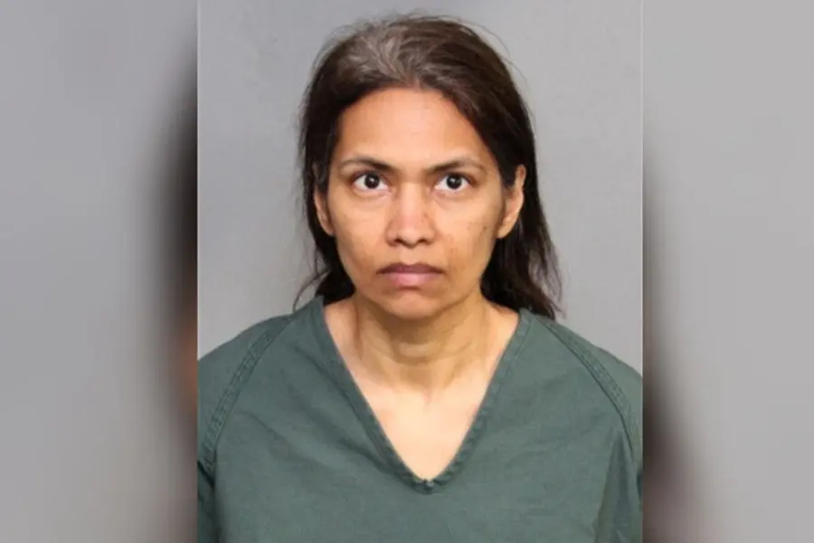 Indian-origin woman slits son’s throat after Disneyland trip