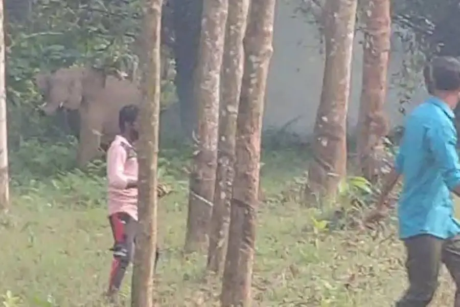 3 women who went missing in dense forest in Kothamangalam found