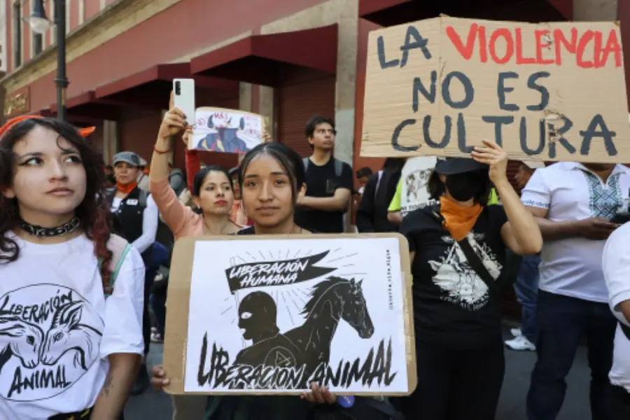 Mexico City bans violent bullfighting, triggering outrage and celebration
