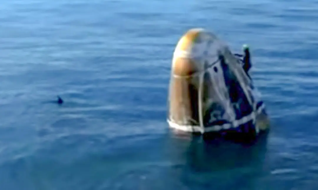 This still image from a NASA+ livestream shows dolphins swimming around the Dragon capsule with the SpaceX Crew-9 astronauts aboard after splashdown on March 18, 2025, off the coast of Talahassee, Florida. | Photo: AFP