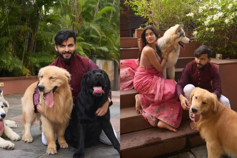 പട്ടികള്ക്കും ജാന്വിക്കുമൊപ്പം ചിത്രം, കമന്റില് ജാതി അധിക്ഷേപം; ചുട്ട മറുപടിയുമായി കാമുകന് ശിഖർ