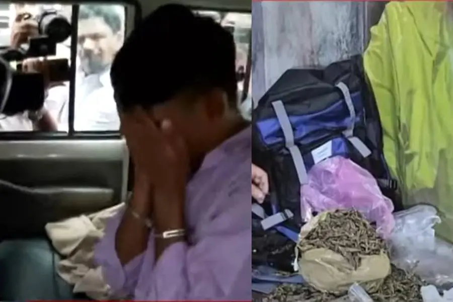 Kalamassery Polytechnic drug case: One more student nabbed; missing ganja packets still untraced