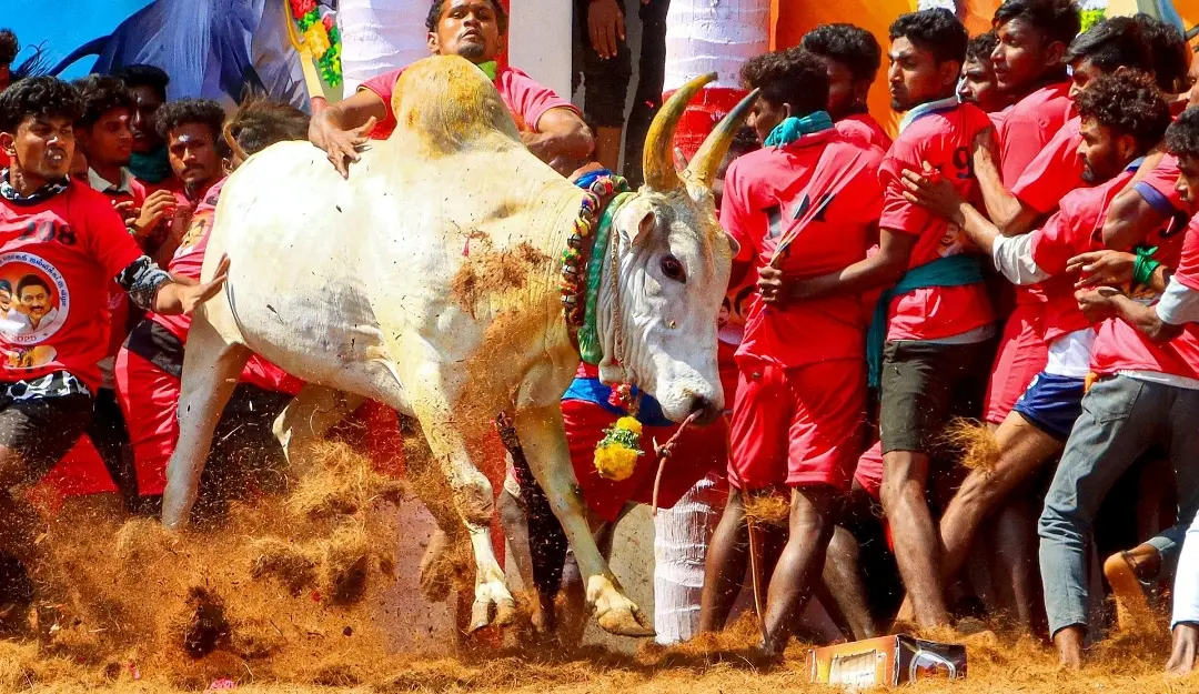 Representational image.