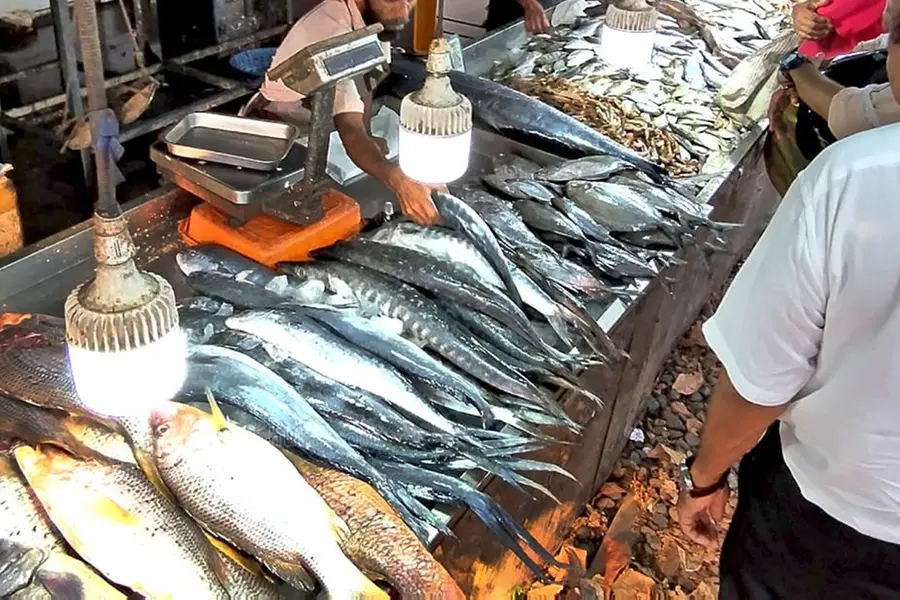 Christmas feast strains wallets: Fish prices in Kerala hit record highs ahead of holidays
