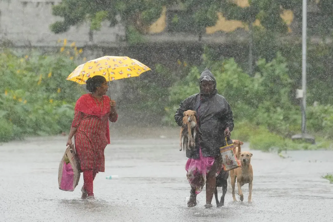 A woman carries a puppy as she walks during heavy rain in Chennai | File photo: AP