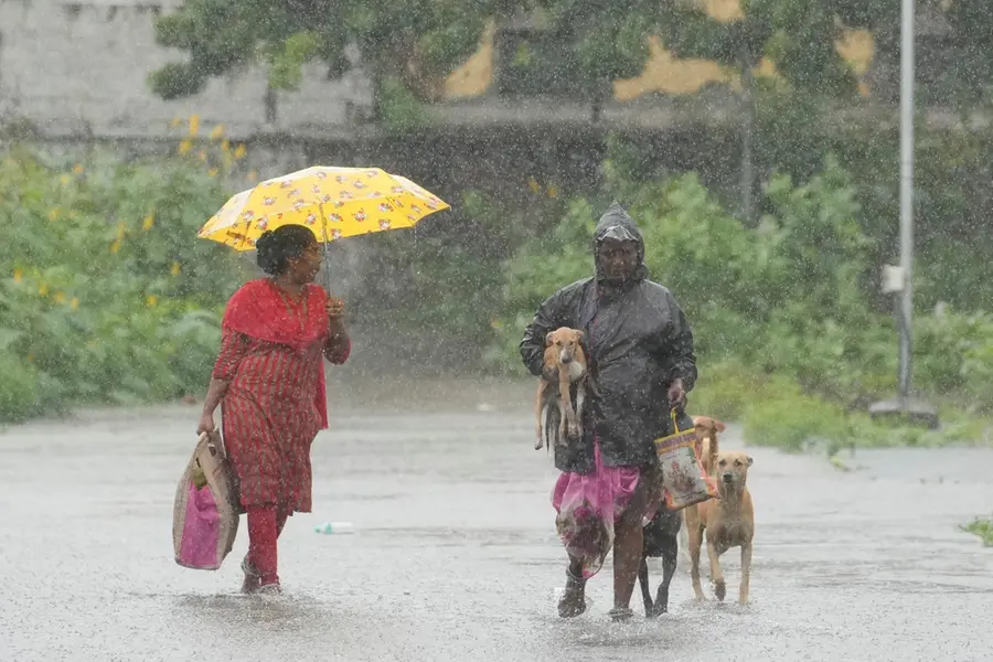 Chennai flooded by heavy rains: Widespread waterlogging in surrounding areas | PHOTOS