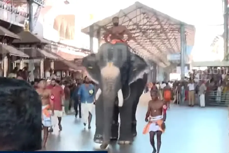 ഗുരുവായൂര് ആനയോട്ടം: കൊമ്പൻ ബാലു ജേതാവ്