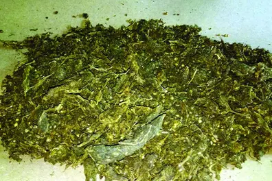 Kerala school teacher ‘Brucelee’ caught smuggling 180kg ganja near Tirunelveli