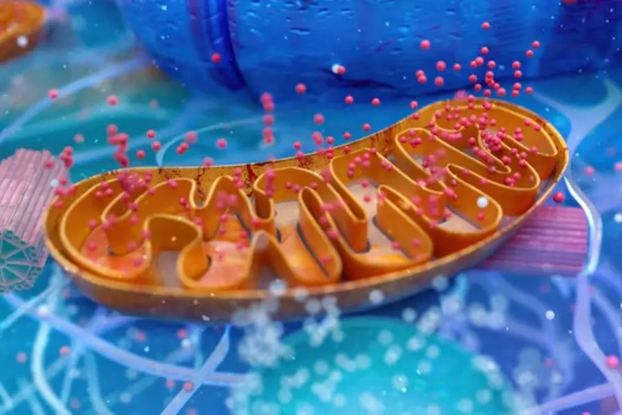 Hidden superpower? Scientists reveal how your body naturally creates antibiotics