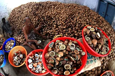 Ball copra stocking toppled in Kerala leaving farmers in distress