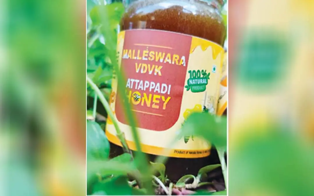 Attappadi Honey available at eco shops | Photo: Mathrubhumi