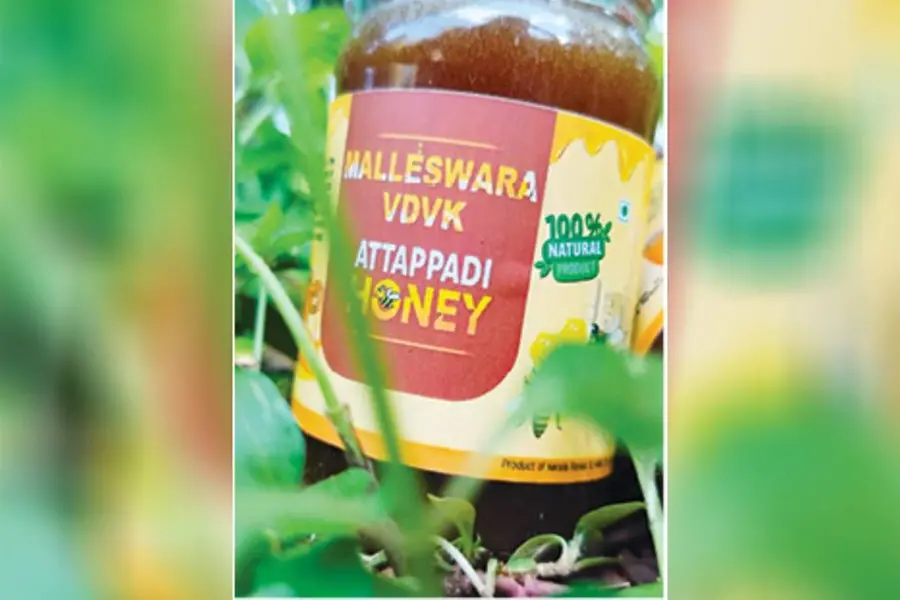 Attappadi Honey turns sweeter for Forest Department