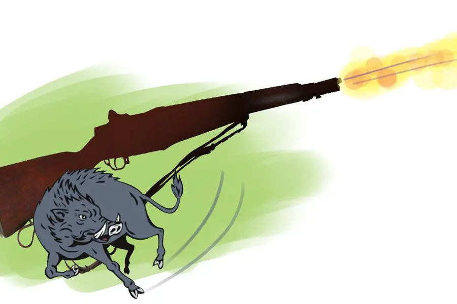 Kerala Forest Department’s blunder: Dead man granted permission to hunt wild boars