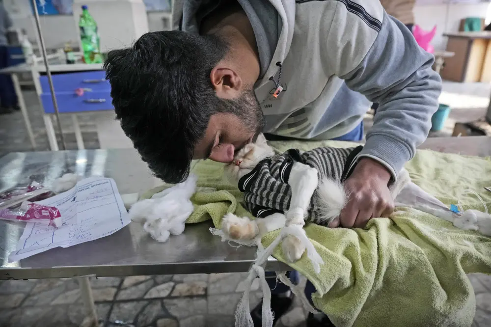 Fazan, a Kashmiri boy, kisses Luna his pet cat at the Kashmir veterinary hospital in Srinagar | AP