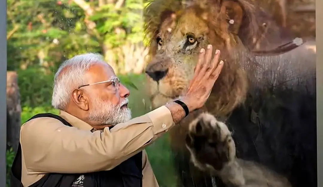 PM Modi during the inauguration of 'Vantara', in Jamnagar, Gujarat | Photo: PTI