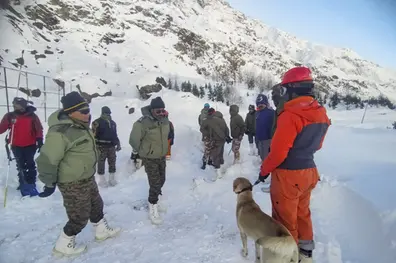 'We ate snow... shared one blanket with 14-15 others,' recalls Uttarakhand avalanche survivor