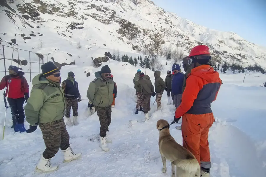 'We ate snow... shared one blanket with 14-15 others,' recalls Uttarakhand avalanche survivor