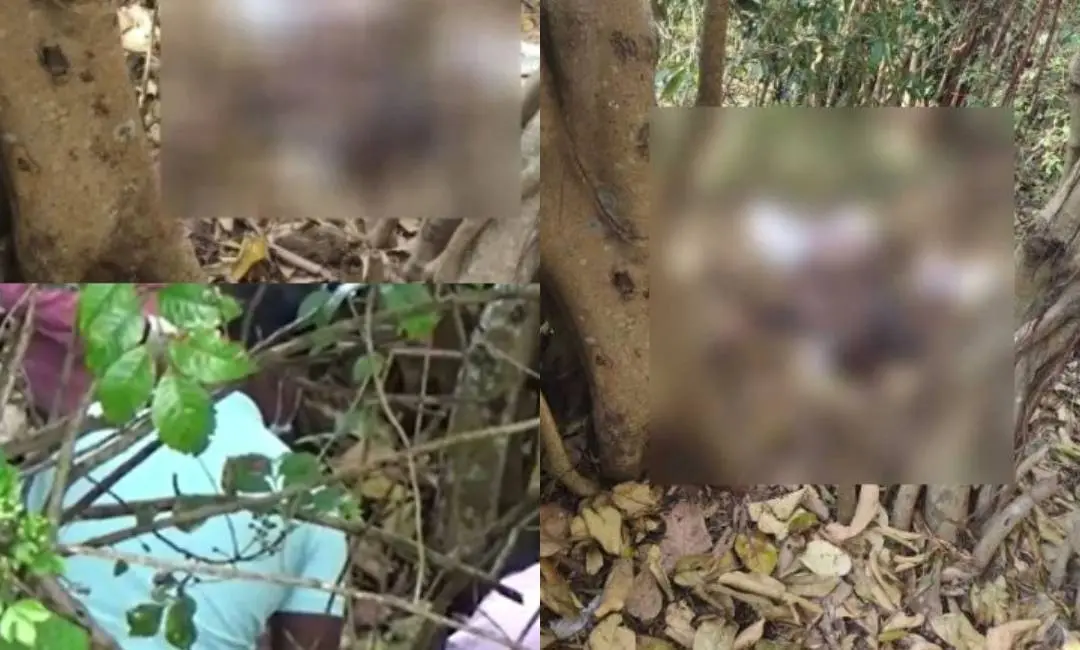 Visuals from the scene of the Dindigul blast where Malayali Sabu John's body was found with explosives | Photo: Screen Grab
