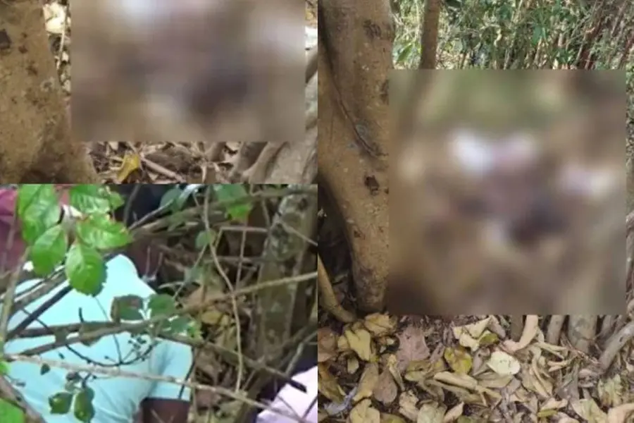 Malayali killed in Dindigul blast, decomposed body found with explosives; NIA probe underway