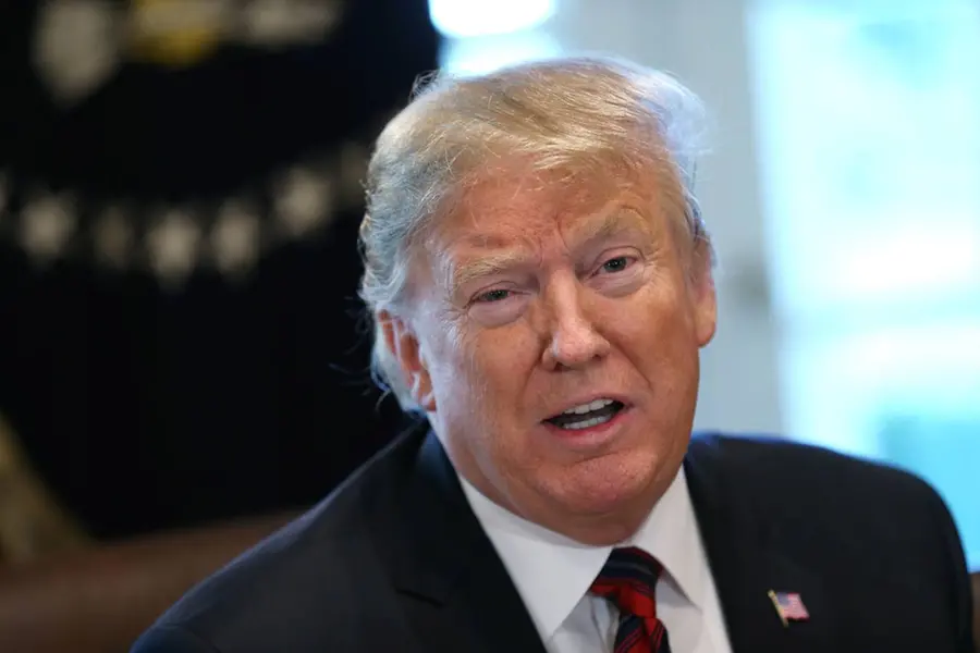 US begins Trump's deportation operation; hundreds of migrants arrested