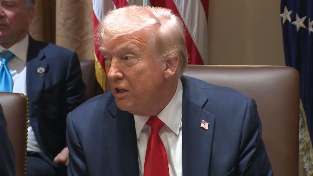 Trump holds first Cabinet meeting of second term with Musk in ...