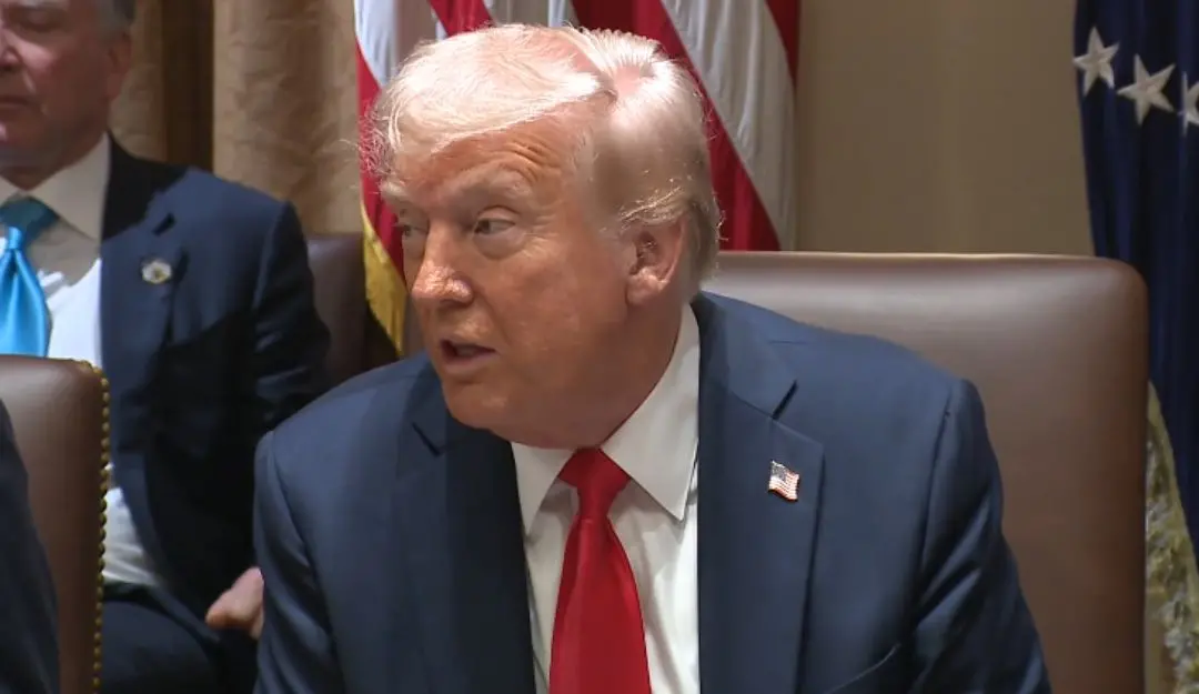 US President Donald Trump | Photo: X