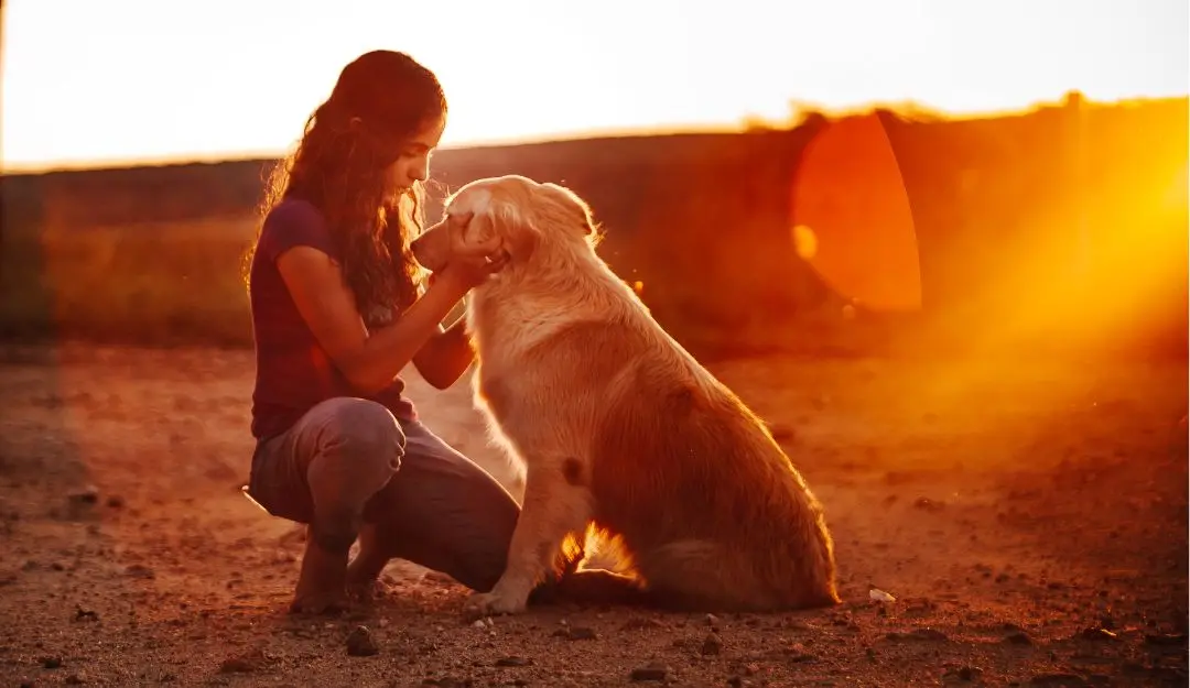 Representational Image | photo: Canva