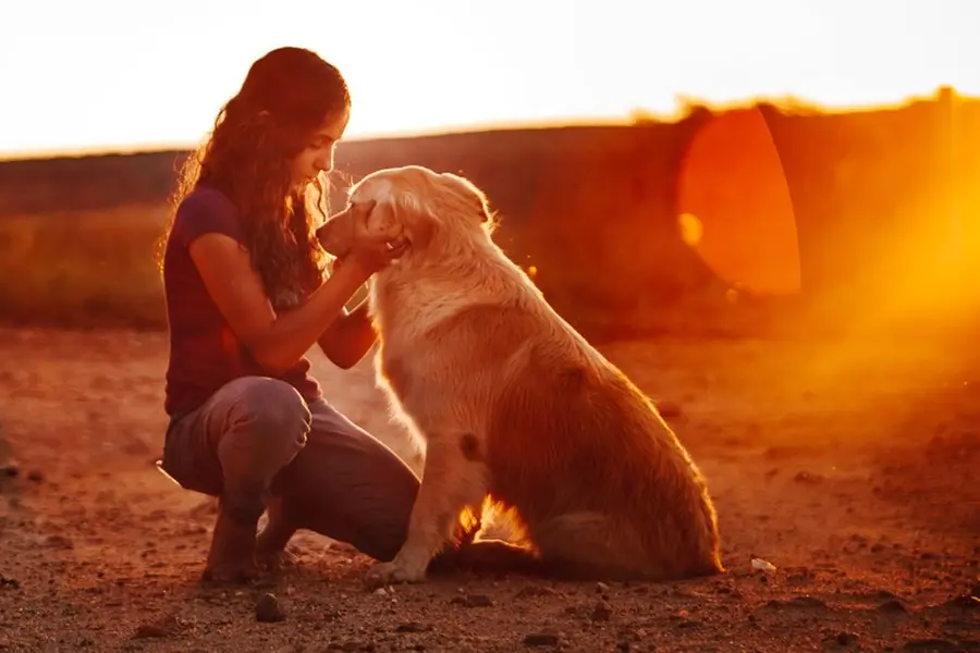 Losing a pet can be heartbreaking: How to help friends overcome grief?