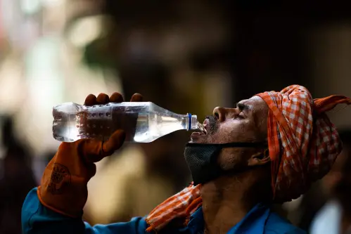 Brutal heat scorches northwest India, Delhi's Najafgarh warmest in country at 47.4 degrees Celsius