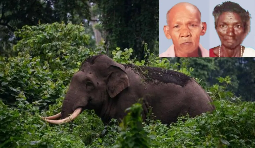 Representational image, deceased couple Velli and Leela (inset). | Mathrubhumi