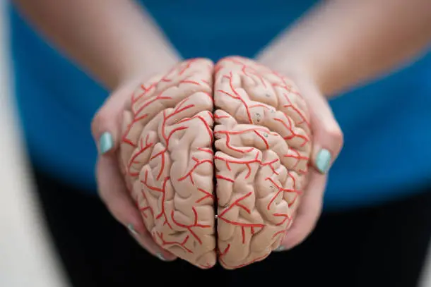 Raising awareness on Alzheimer's Day