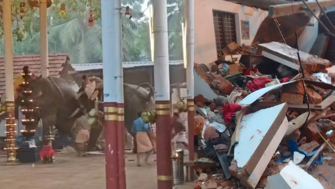Screen grab of television visual of elephant rampage at Manakulangara temple, Koyilandy