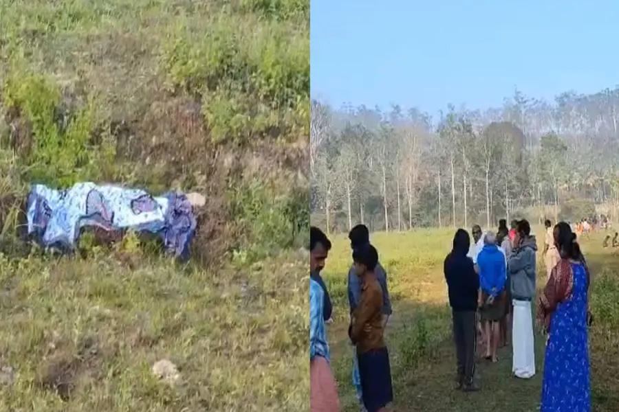 Wild elephant attack: Another person dies in Wayanad
