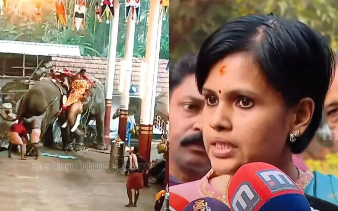 കൊയിലാണ്ടി കുറുവങ്ങാട് മണക്കുളങ്ങര ക്ഷേത്രോത്സവത്തിനിടെ വിരണ്ടോടിയ ആന പീതാംബരൻ, ആര്. കീര്ത്തി ഐ.എഫ്.എസ് | Photo: Mathrubhumi, Mathrubhumi News