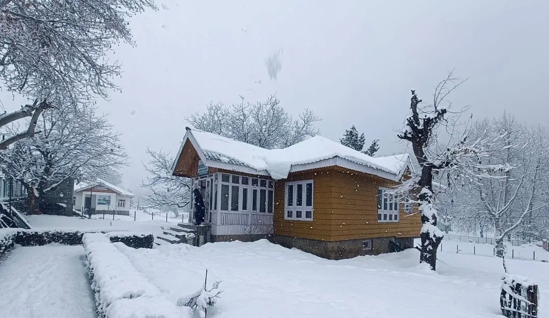 Snowfall in Kashmir