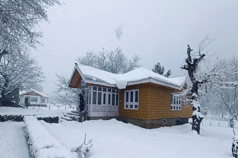 Kashmir's winter miracle: Snow and rain offer hope for drought relief | WATCH