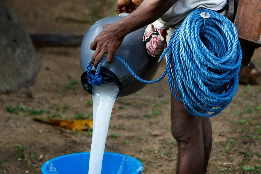 Kerala to revamp toddy sector, targets tourism revenue