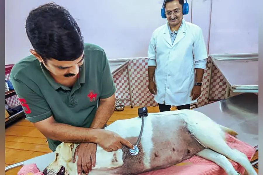 Kerala vet develops Bluetooth stethoscope to minimise risk in animal check-ups