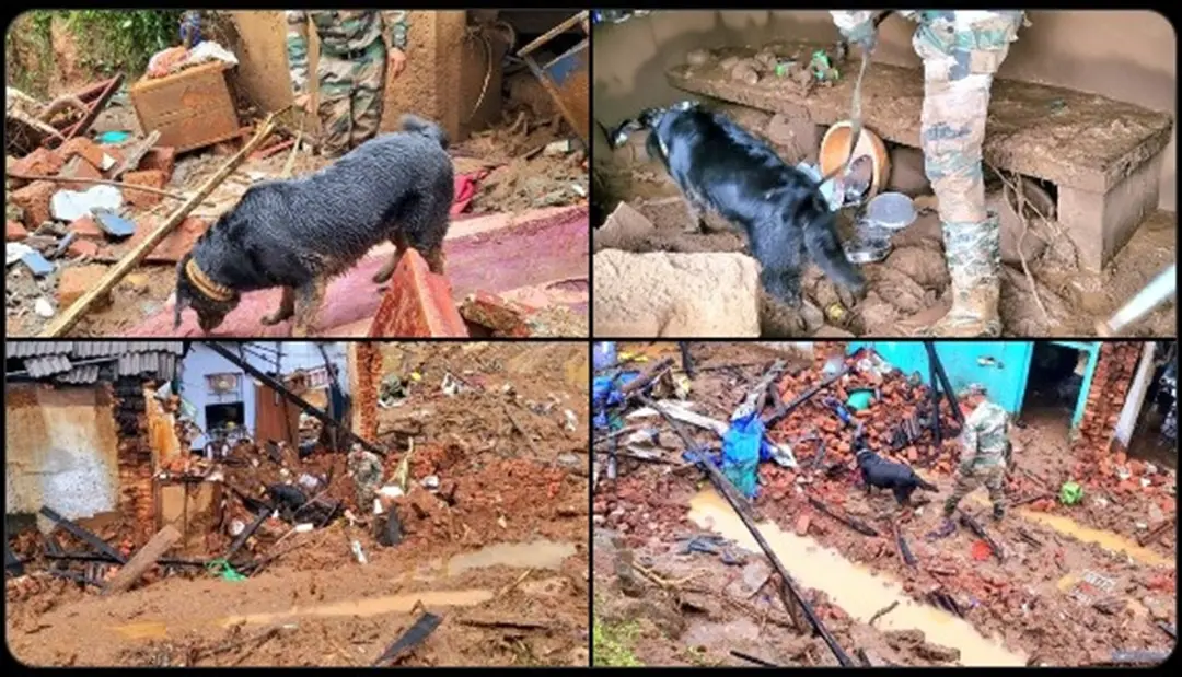 Army dogs in rescue mission | Photo: PRO Defence Trivandrum