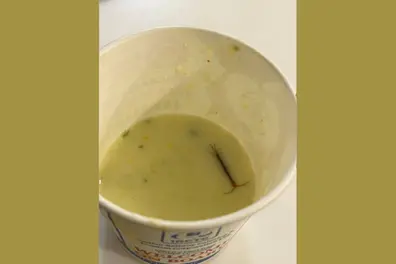 Live centipede found in food served at Railway VIP lounge; IRCTC apologises | Delhi man's viral post