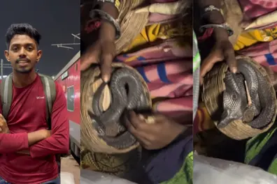 ‘He threw a cobra at me’: Malayali youth shares terrifying train journey experience | VIDEO