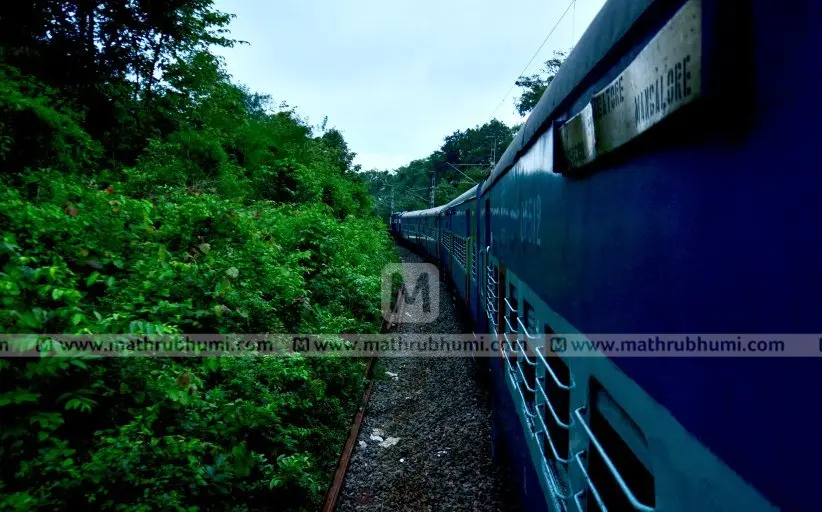 Representative image, Photo: Mathrubhumi Archives| Arun Krishnankutty