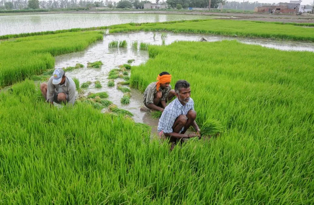 പ്രതീകാത്മക ചിത്രം | Photo: PTI