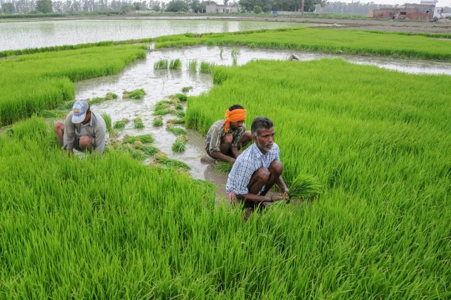 കാർഷിക മേഖലയ്ക്ക് കൈത്താങ്ങ്; കിസാൻ ക്രെഡിറ്റ് കാർഡ് വായ്പാപരിധി 5 ലക്ഷമാക്കി