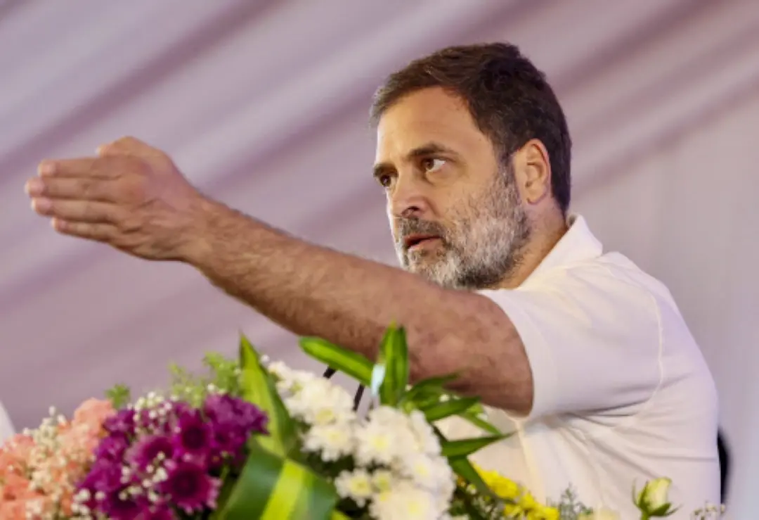 Leader of Opposition in LoK Sabha Rahul Gandhi addresses at the State Level Consultations on Caste Census in Secunderabad. | Photo: PTI