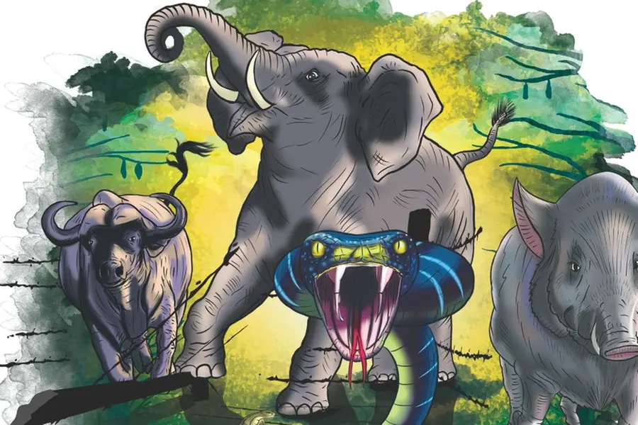 From virtual fencing to container shops: What Kerala can learn from TN to combat man-animal conflict