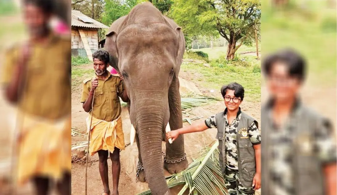 Ananya at Masinagudi