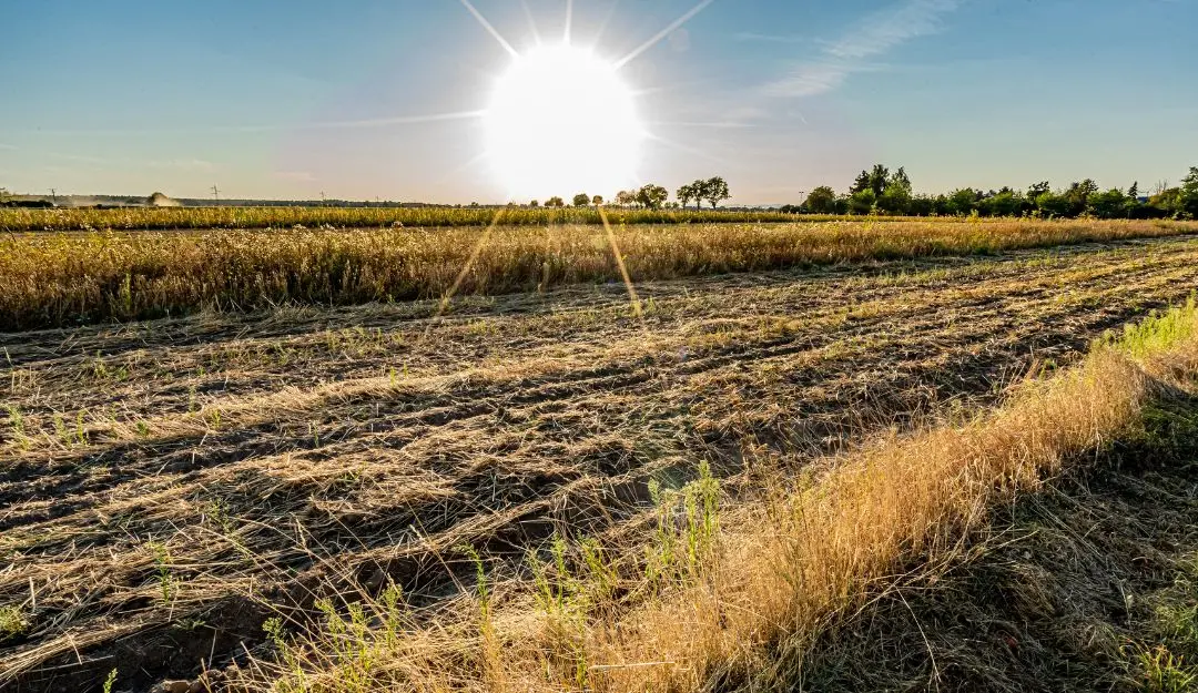 Representational Image | Photo: Canva